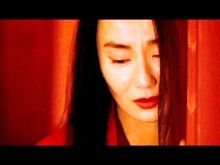 Maggie Cheung #604655 picture (Landscape Medium)