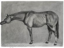 Maggie McNamara