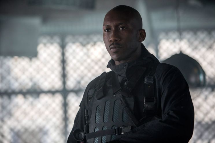Mahershala Ali