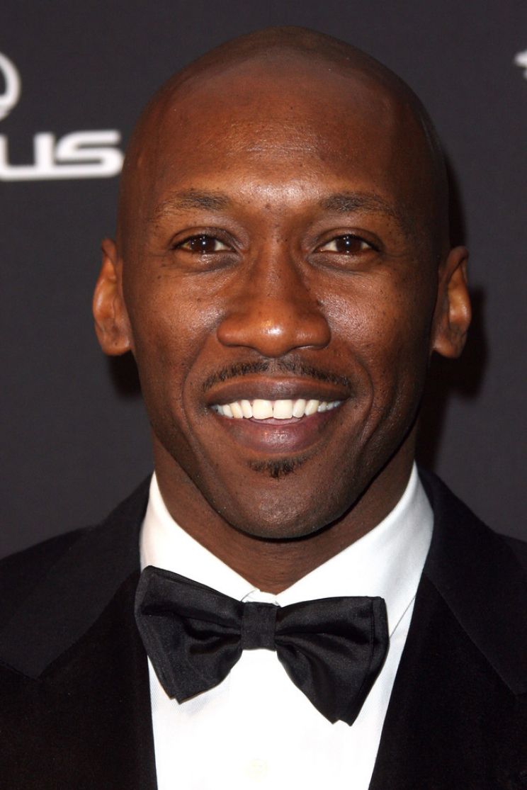 Pictures of Mahershala Ali