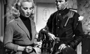 Mai Zetterling