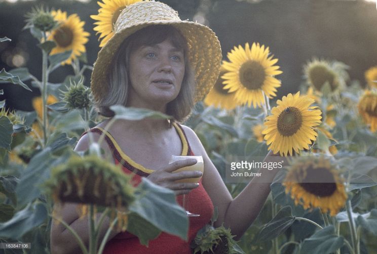 Mai Zetterling