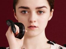Maisie Williams #2734 picture (Landscape Medium)