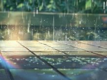 Makoto Shinkai