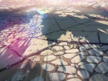 Makoto Shinkai