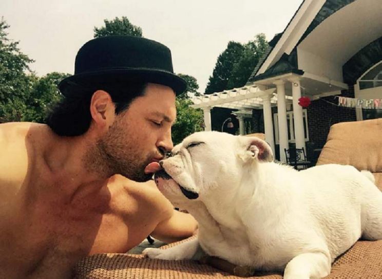 Maksim Chmerkovskiy