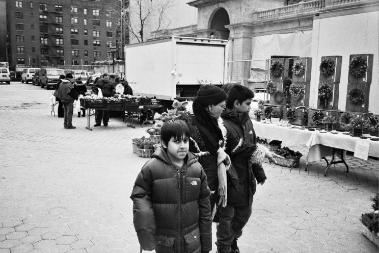 Mal Dassin