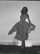 Mala Powers #939078 picture (Portrait Medium)