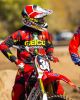 Malcolm Stewart
