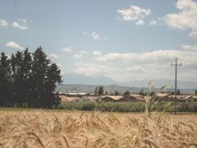 Malù