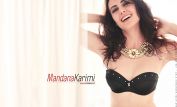 Mandana Karimi