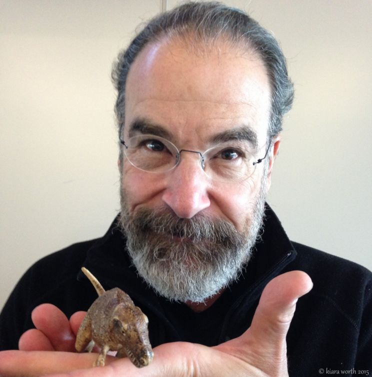 Mandy Patinkin