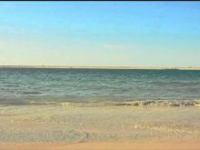 Mania Akbari #2812619 picture (Landscape Medium)