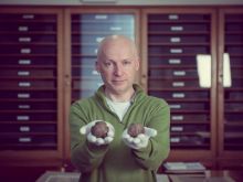 Marcus du Sautoy