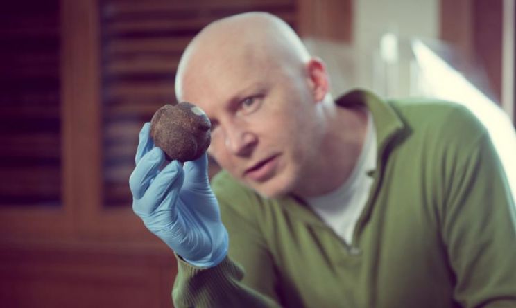 Marcus du Sautoy