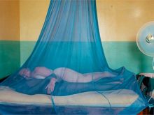 Margarete Tiesel