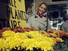 Margaux Hemingway