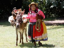 María Elena Velasco