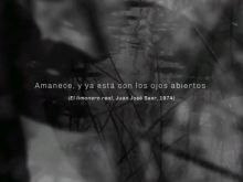 Maricel Álvarez