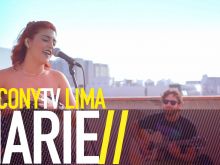 Marie Dame