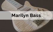 Marilyn Bass