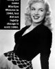 Marilyn Rising