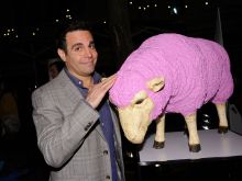 Mario Cantone
