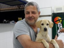 Mario Machado