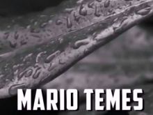 Mario Temes