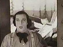 Marissa D'Onofrio