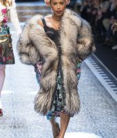 Marjorie Harvey