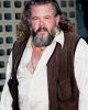 Mark Boone Junior