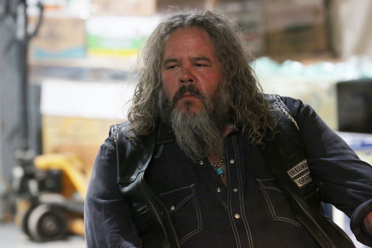 Mark Boone Junior