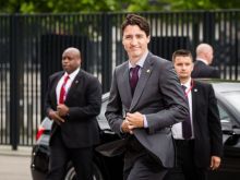 Mark Critch