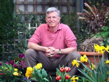 Mark Cullen