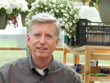 Mark Cullen