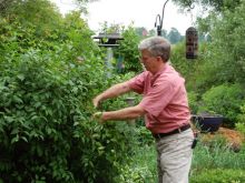 Mark Cullen
