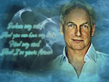 Mark Harmon