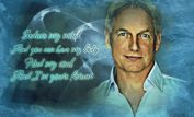 Mark Harmon