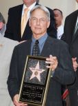 Mark Harmon