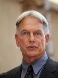 Mark Harmon