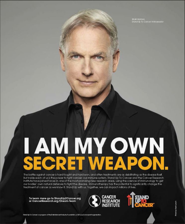 Mark Harmon