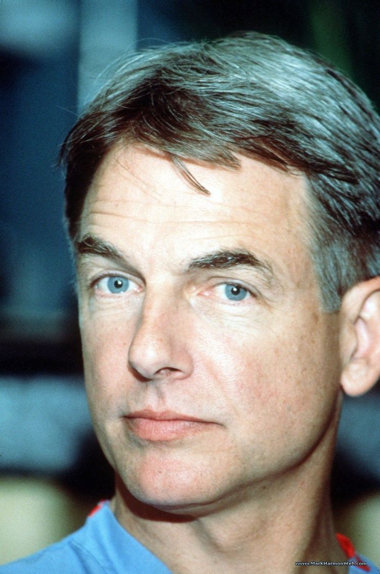 Mark Harmon