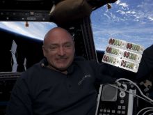 Mark Kelly