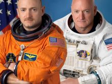 Mark Kelly