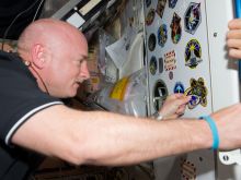 Mark Kelly