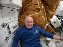 Mark Kelly