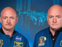 Mark Kelly