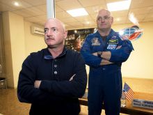 Mark Kelly