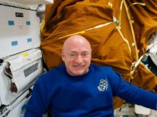 Mark Kelly